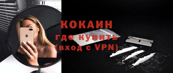 индика Армянск