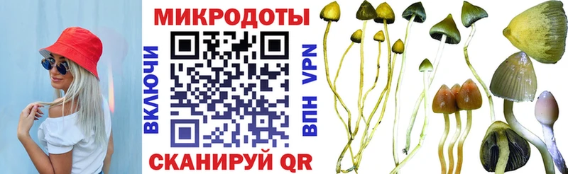 купить Сольцы Галлюциногенные грибы Magic Shrooms