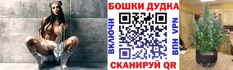 Бошки Шишки индика  Сольцы 